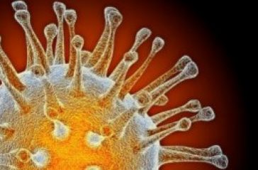 H5N1 el virus mas peligroso